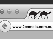 2 Camels Social Media